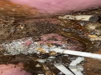 Burning my cigarette on Sissy Toilets clitty